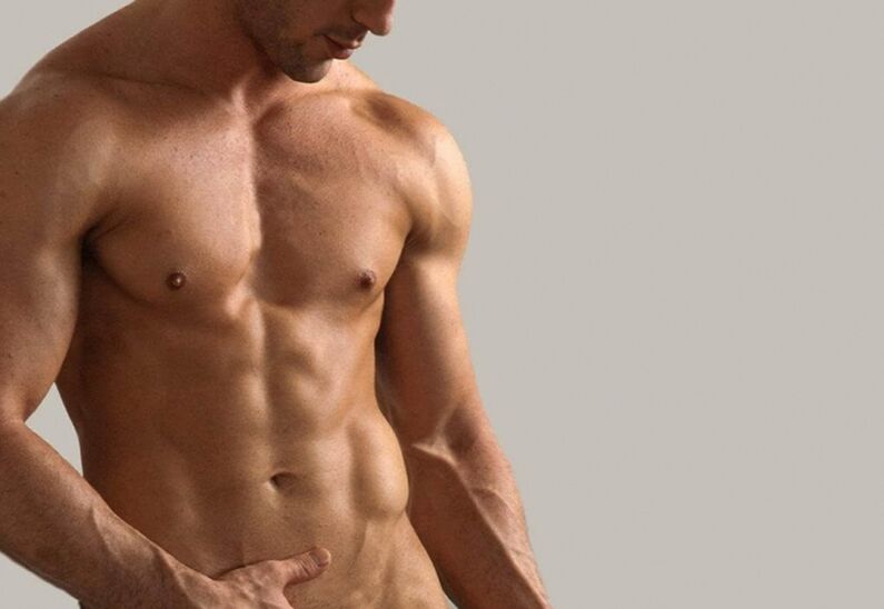 Male torso
