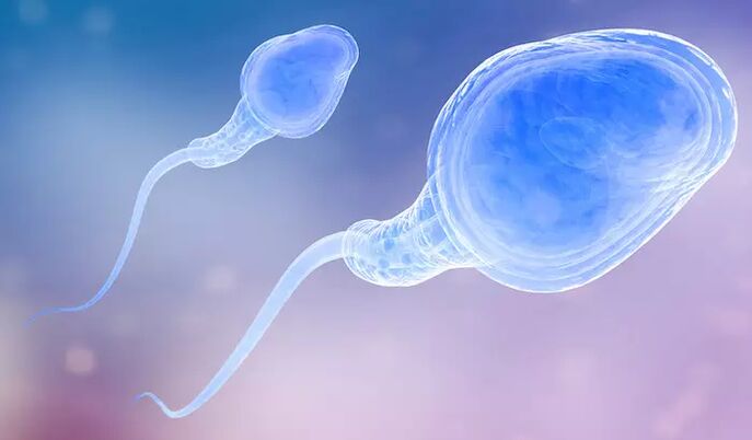 Sperm may be present in a man's pre-ejaculate